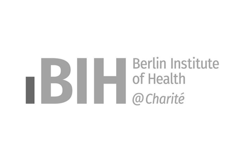 Logo: BIH Grey