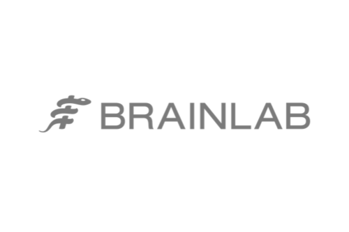 Logo Brainlab Grey
